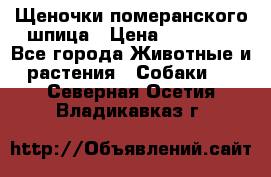 Щеночки померанского шпица › Цена ­ 25 000 - Все города Животные и растения » Собаки   . Северная Осетия,Владикавказ г.